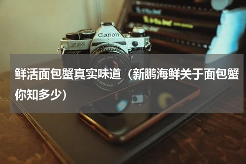 鲜活面包蟹真实味道（新鹏海鲜关于面包蟹你知多少）