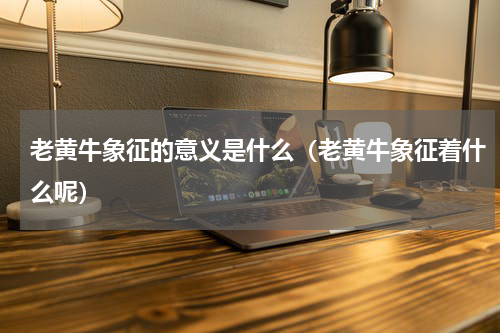 老黄牛象征的意义是什么（老黄牛象征着什么呢）