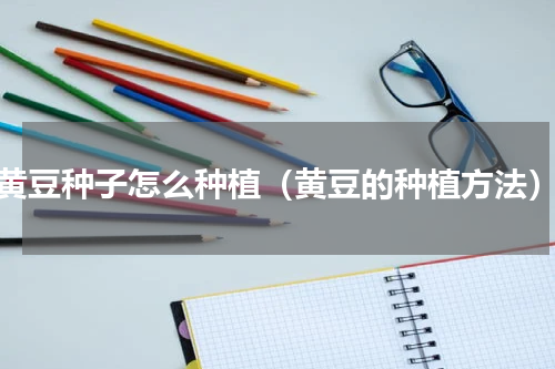 黄豆种子怎么种植（黄豆的种植方法）