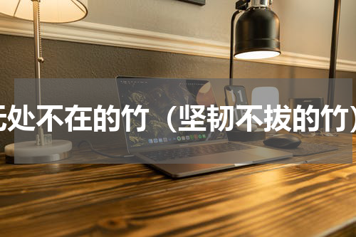 无处不在的竹（坚韧不拔的竹）