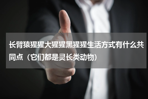 长臂猿猩猩大猩猩黑猩猩生活方式有什么共同点（它们都是灵长类动物）