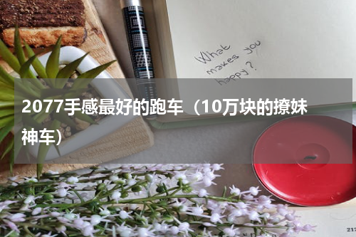 2077手感最好的跑车（10万块的撩妹神车）