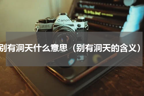 别有洞天什么意思（别有洞天的含义）