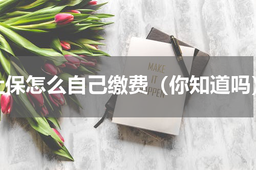 社保怎么自己缴费（你知道吗）