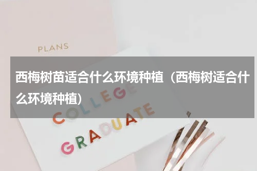西梅树苗适合什么环境种植（西梅树适合什么环境种植）