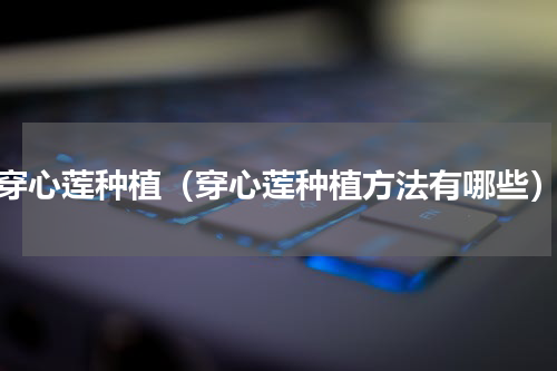 穿心莲种植（穿心莲种植方法有哪些）