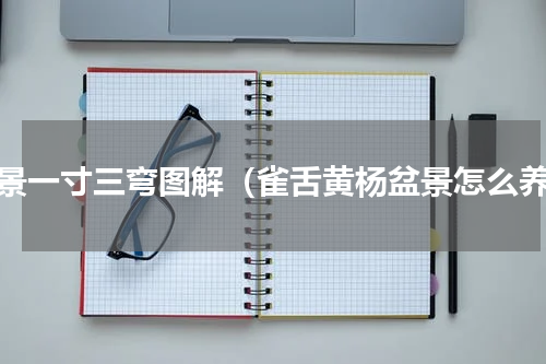 盆景一寸三弯图解（雀舌黄杨盆景怎么养）