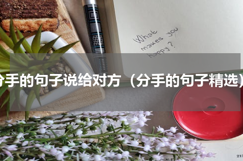 分手的句子说给对方（分手的句子精选）