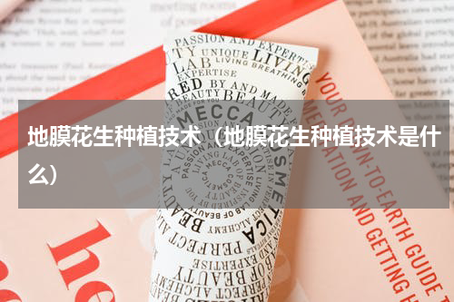 地膜花生种植技术（地膜花生种植技术是什么）