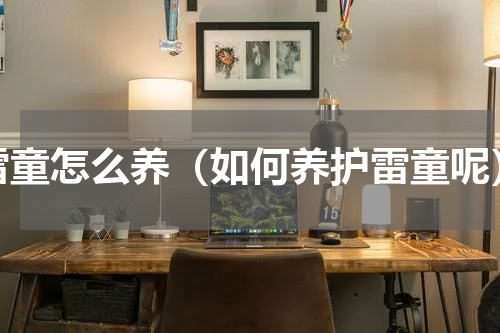 雷童怎么养（如何养护雷童呢）
