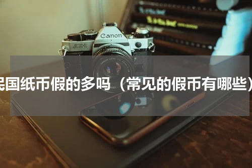 民国纸币假的多吗（常见的假币有哪些）