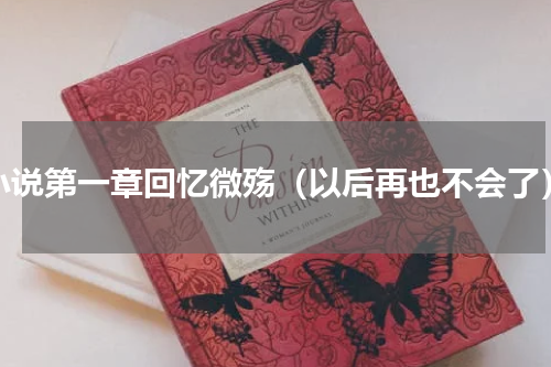 小说第一章回忆微殇（以后再也不会了）