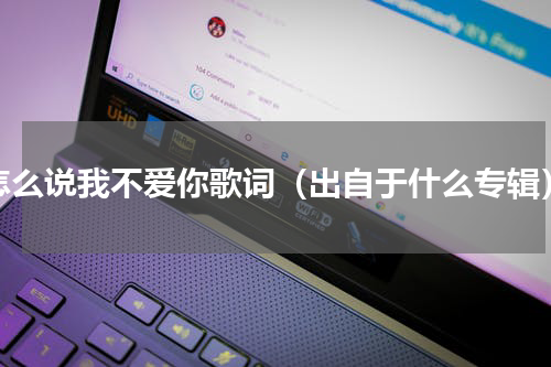 怎么说我不爱你歌词（出自于什么专辑）