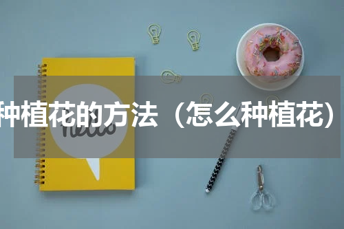 种植花的方法（怎么种植花）