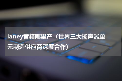 laney音箱哪里产（世界三大扬声器单元制造供应商深度合作）