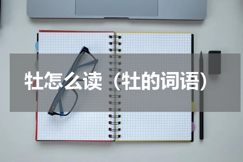 牡怎么读（牡的词语）