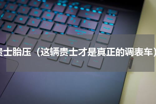 贵士胎压（这辆贵士才是真正的调表车）
