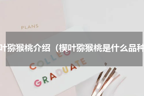 楔叶猕猴桃介绍（楔叶猕猴桃是什么品种）