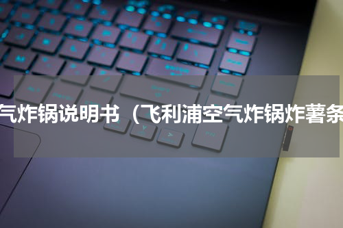 空气炸锅说明书（飞利浦空气炸锅炸薯条）