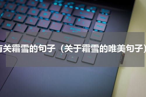 有关霜雪的句子（关于霜雪的唯美句子）