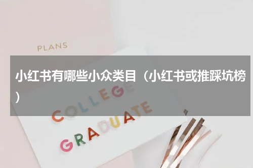 小红书有哪些小众类目（小红书或推踩坑榜）