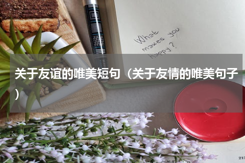 关于友谊的唯美短句（关于友情的唯美句子）