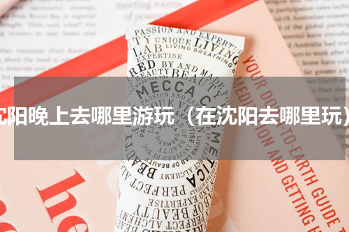 沈阳晚上去哪里游玩（在沈阳去哪里玩）