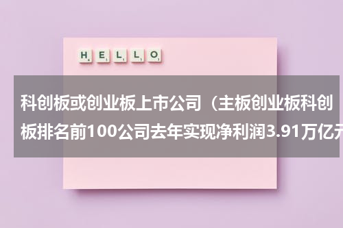 科创板或创业板上市公司（主板创业板科创板排名前100公司去年实现净利润3.91万亿元）