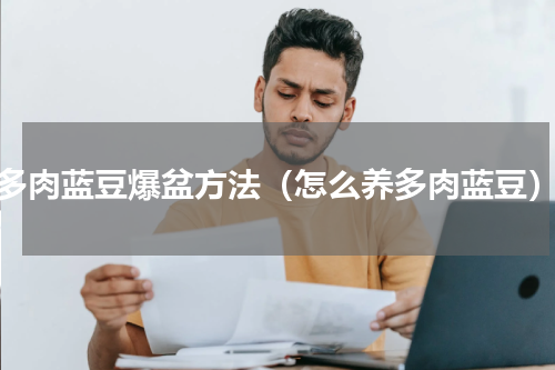 多肉蓝豆爆盆方法（怎么养多肉蓝豆）