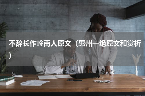 不辞长作岭南人原文（惠州一绝原文和赏析）