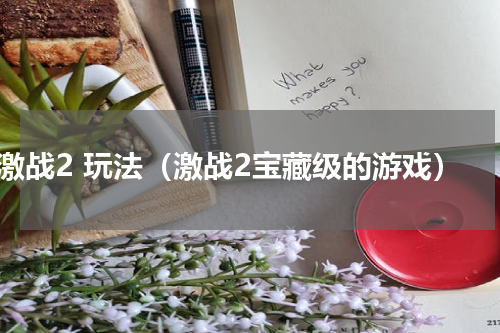 激战2 玩法（激战2宝藏级的游戏）