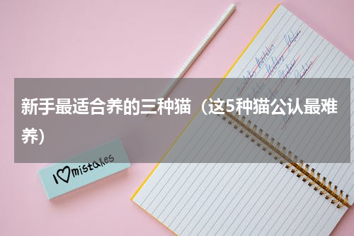 新手最适合养的三种猫（这5种猫公认最难养）