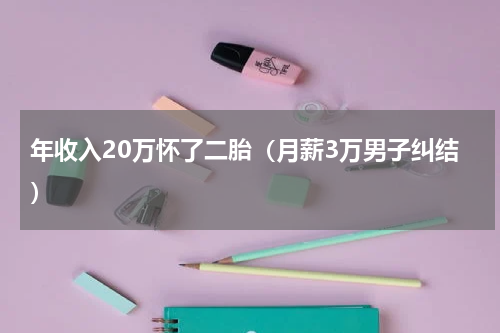 年收入20万怀了二胎（月薪3万男子纠结）