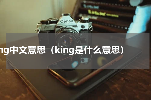 king中文意思（king是什么意思）
