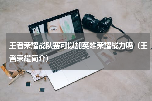 王者荣耀战队赛可以加英雄荣耀战力吗（王者荣耀简介）