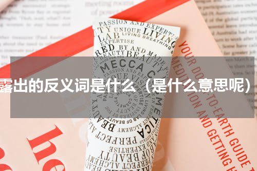 露出的反义词是什么（是什么意思呢）