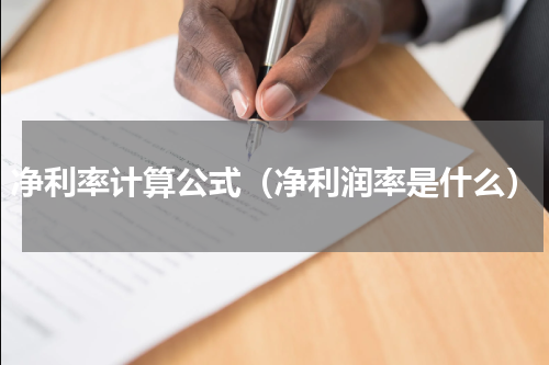 净利率计算公式（净利润率是什么）