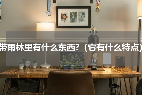 热带雨林里有什么东西?（它有什么特点）