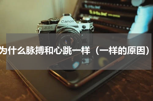 为什么脉搏和心跳一样（一样的原因）