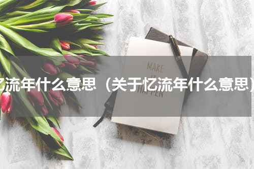 忆流年什么意思（关于忆流年什么意思）