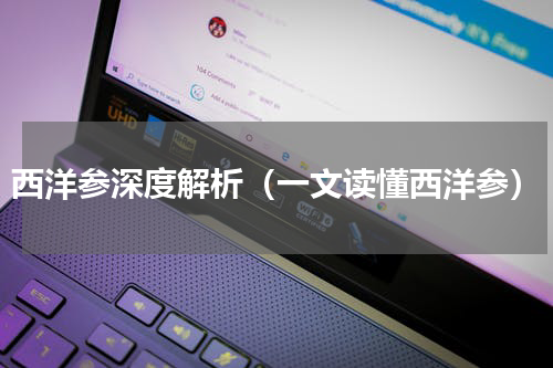 西洋参深度解析（一文读懂西洋参）