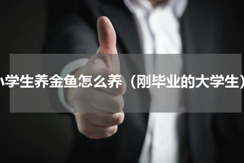 小学生养金鱼怎么养（刚毕业的大学生）