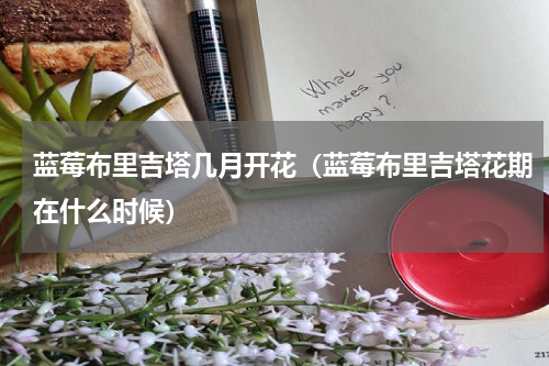 蓝莓布里吉塔几月开花（蓝莓布里吉塔花期在什么时候）
