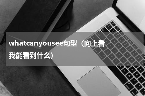 whatcanyousee句型（向上看我能看到什么）