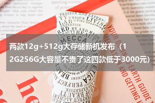 两款12g+512g大存储新机发布（12G256G大容量不贵了这四款低于3000元）