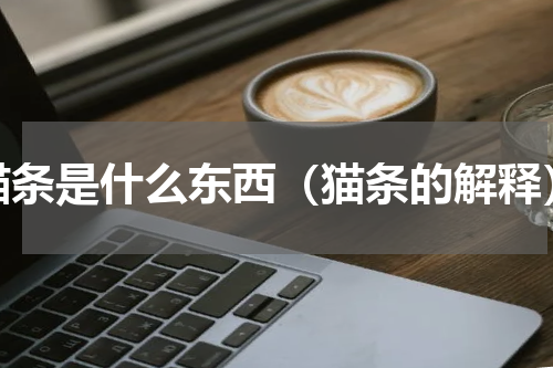 猫条是什么东西（猫条的解释）