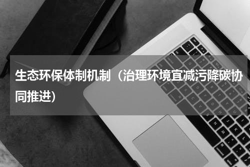 生态环保体制机制（治理环境宜减污降碳协同推进）