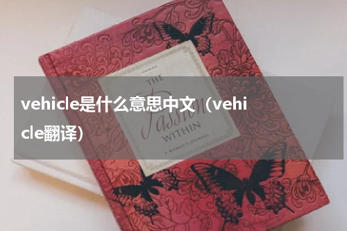 vehicle是什么意思中文（vehicle翻译）