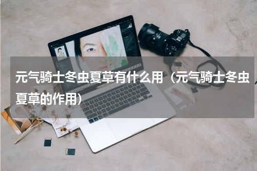 元气骑士冬虫夏草有什么用（元气骑士冬虫夏草的作用）