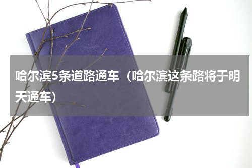 哈尔滨5条道路通车（哈尔滨这条路将于明天通车）